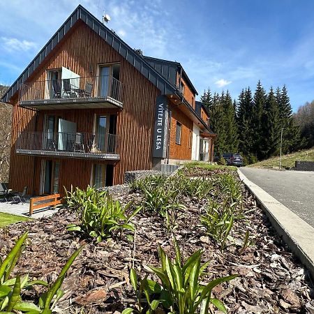 Apartmany U Lesa Dolní Morava Exterior foto